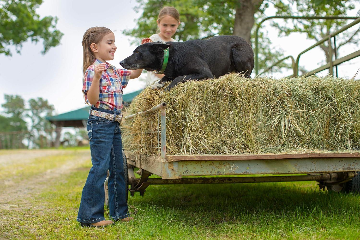 imageWrangler Girls Dark Wash Medium Blue Boot Cut JeansMedium Blue