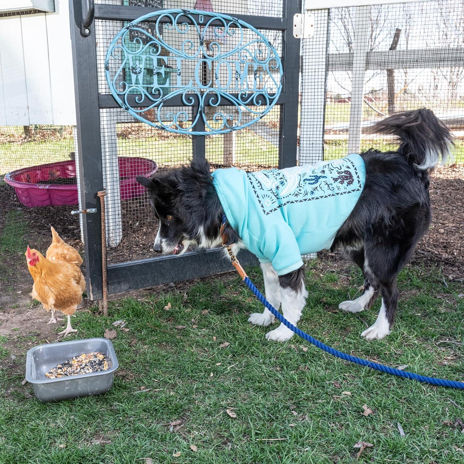 imageWrangler Rope Desert Poster Hoodie S